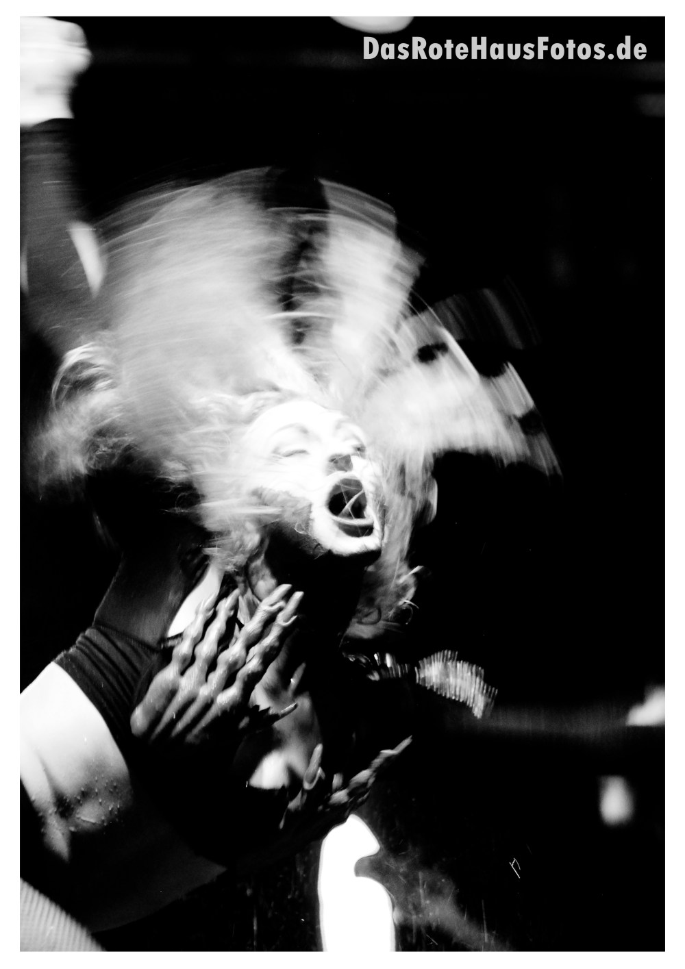 Bonaparte RH_DSC_4622