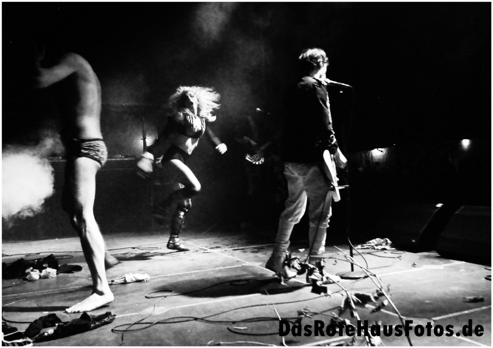 Bonaparte RH_DSC_4861