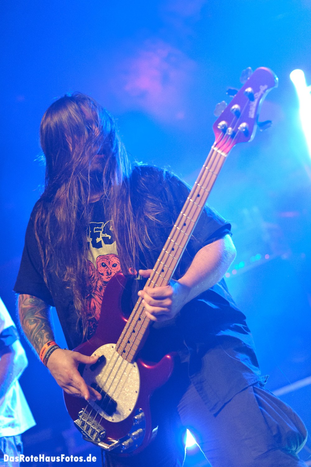 Bushfire @ Sound of the Forest 2011