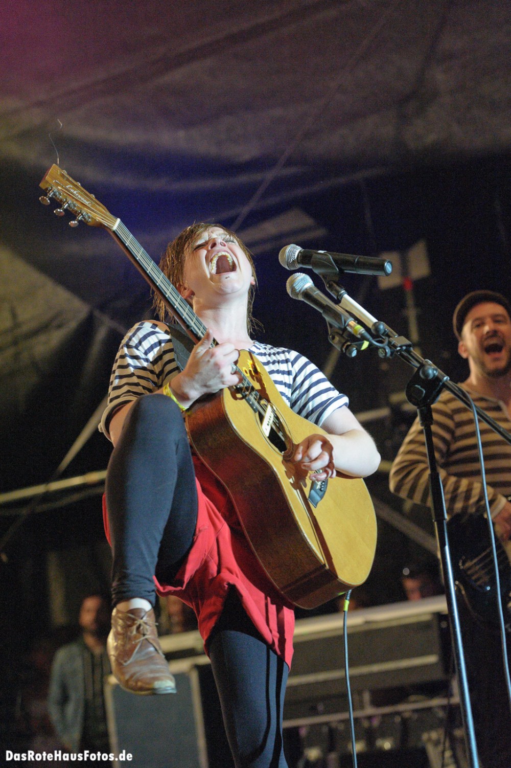Wallis Bird #